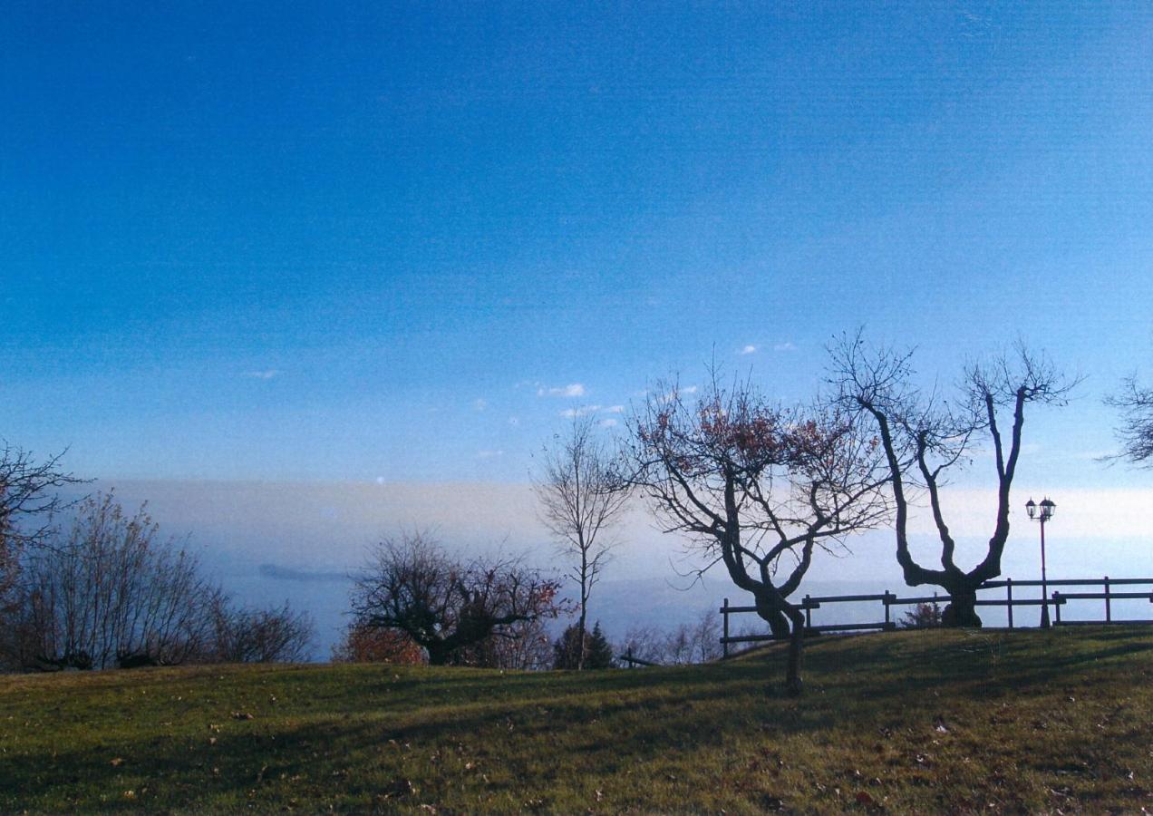 La Fiocchina - Magic Place - Apartments & Studios In Garda Lake - Countryside Farmhouse, Inside The Middle Of The Lake Сало Екстер'єр фото